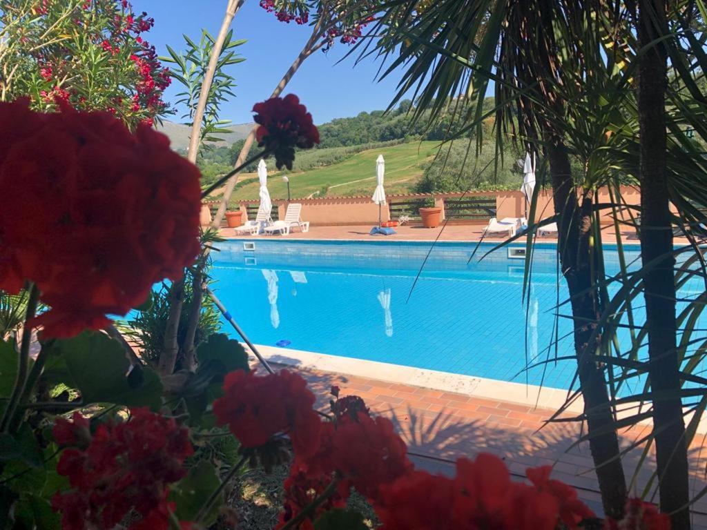 Rea Villa Coltodino Esterno foto